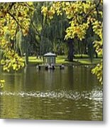 Lake In Boston Park Metal Print