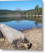 Lake Of The Woods 3 Metal Print