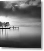 Lake View With Trees Metal Print