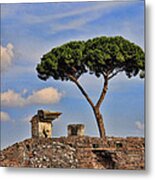 L'albero Metal Print