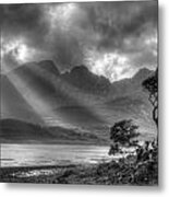 Lonely Tree. Landscape Of The Scottish Highlands In Scotland Metal Print