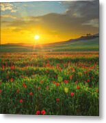 Landscape With Poppies In Tuscany, Italy At Sunset Metal Print