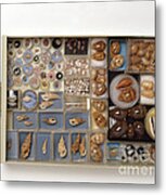 Large Collection Of Shells In Drawer Metal Print
