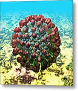 Lassa Virus #4 Metal Print