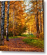 Last Song Of The Autumn Metal Print