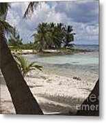 Laughing Bird Caye Metal Print