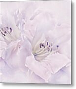 Lavender Azalea Flowers Metal Print