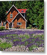 Lavender Cottage Metal Print