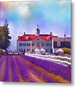 Lavender Fields Metal Print