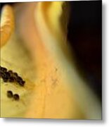 Leaf Essence Metal Print