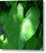 Leaf Heart Metal Print