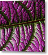 Leaf Pattern 2 Metal Print