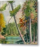 Leaning Pine Metal Print