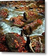 Leaves Decorating River Rocks Metal Print