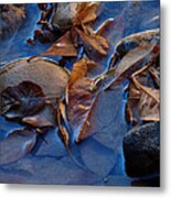 Leaves In Iridescent Water Metal Print