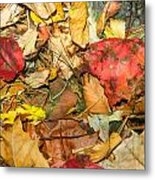 Leaves Of The Fall Great Smoky Mountains Painted Metal Print