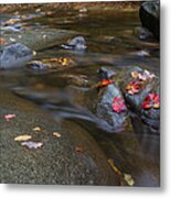 Leaves On The River Path Metal Print