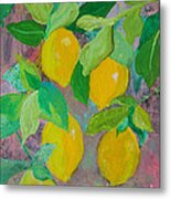 Lemons On Lemon Tree Metal Print