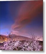 Lenticular Clouds Over Almond Trees Metal Print