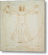 Leonardo Da Vinci, Vitruvian Man - Metal Print