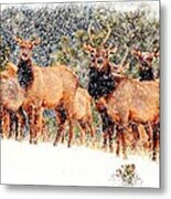 Let It Snow - Barbara Chichester Metal Print