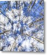 Let Me Lord Wind ... Metal Print