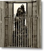 Liberty Imprisoned Metal Print