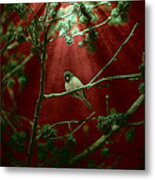 Life Is A Song Metal Print
