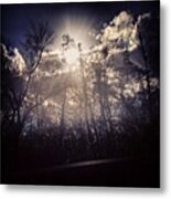 Life Without Light Is Lifeless Metal Print