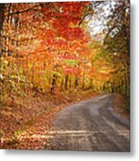 Light Of Autumn Metal Print