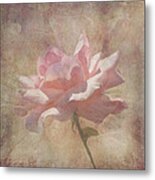 Light Pink Grunge Rose Metal Print