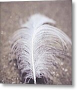 Like A Feather On The Wind Metal Print