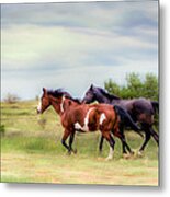 Like The Wind Metal Print