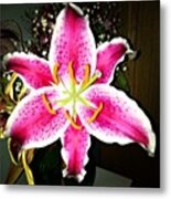 #lily #closeup #pretty #flower Metal Print
