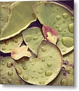 Lily Heart Metal Print