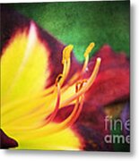 Lily On Vintage Metal Print