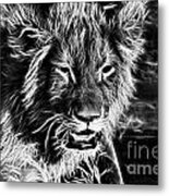 Lion Cub-black And White V2 Metal Print