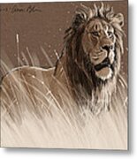 Lion In The Grass Metal Print