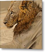 Lion Portrait Metal Print