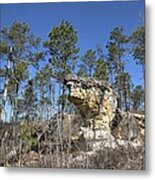 Little Peach Tree Rock Metal Print