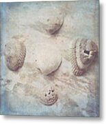 Little Seashells Metal Print