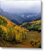 Little Meadow Of The Sublime Metal Print