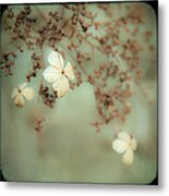 Little White Flowers - Floral - The Little Things In Life Metal Print