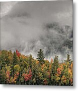 Little Whiteface Emerges From The Cloud Metal Print