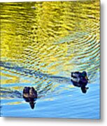 Littleton Pond 2 Metal Print