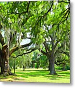 Live Oaks - Audubon Park New Orleeans Metal Print