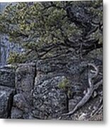 Living On The Edge Of Abyss Metal Print
