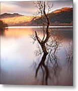 Loch Lomond Tree Metal Print