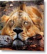 Logged Out Metal Print