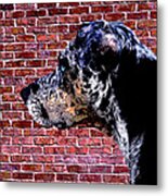 Lola Metal Print